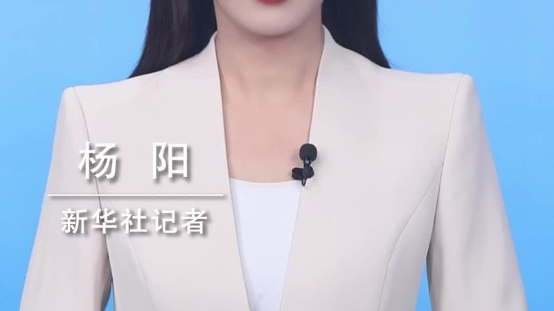 数据服务公司对比，别只盯着价格表